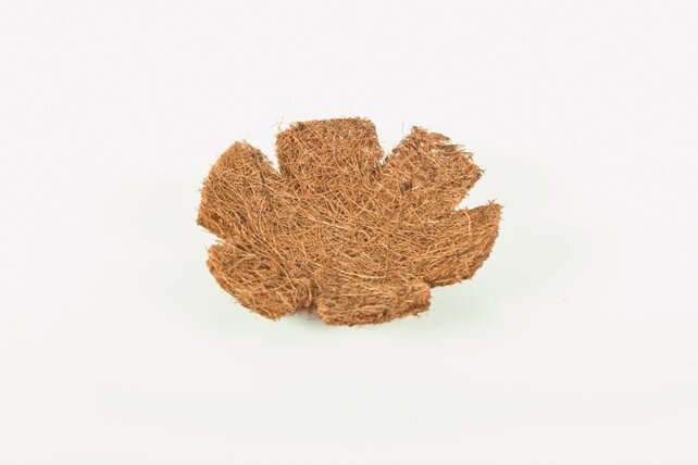 Inlegnest cocos 12 stuks