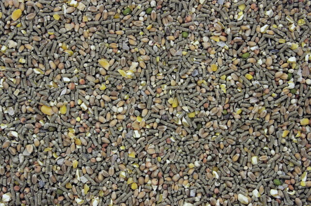 Krielkip-Kwartel Scharrel Mix Krielkip-Kwartel Scharrel Mix