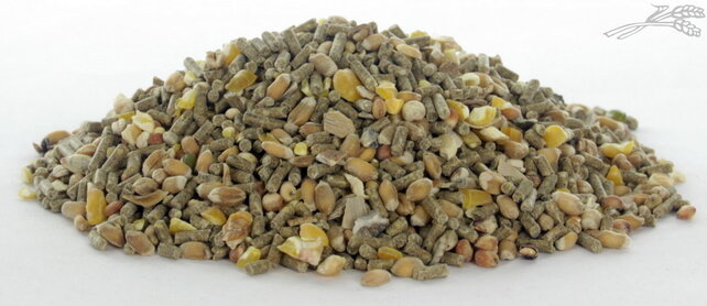 Krielkip-Kwartel Scharrel Mix Krielkip-Kwartel Scharrel Mix