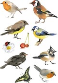 Vogel stickers