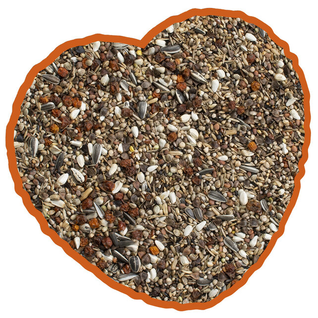 Goudvinken special mix