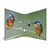 Ordner 2 rings met vogelprint Ordner 2 rings met vogelprint