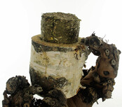 Scharrelboom krielkip