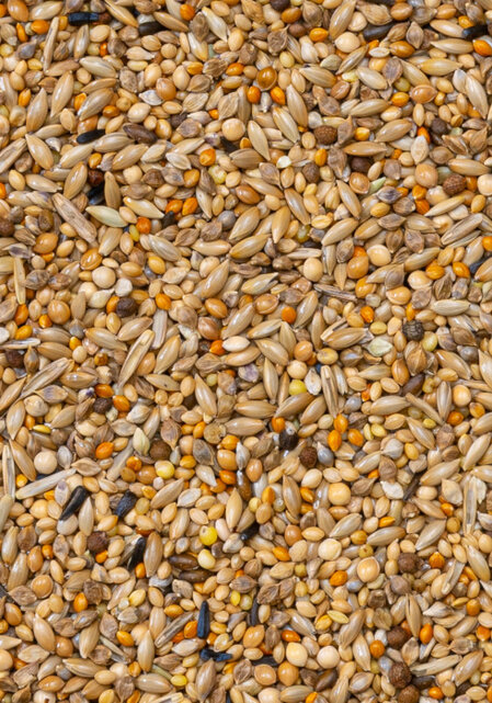 Deli Nature 84 APV Gouldamadine Deli Nature 84 APV Gouldamadine