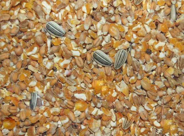 Scharrelgraan 5 kilo