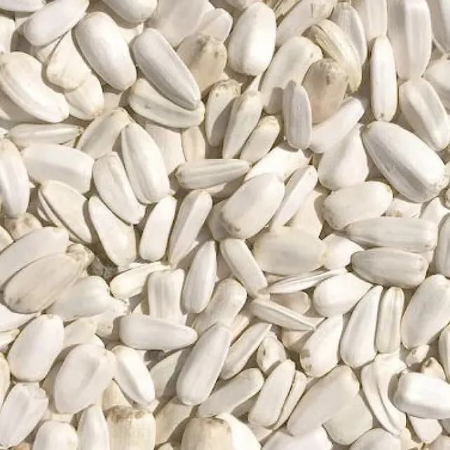 Witte zonnebloempitten Witte zonnebloempitten