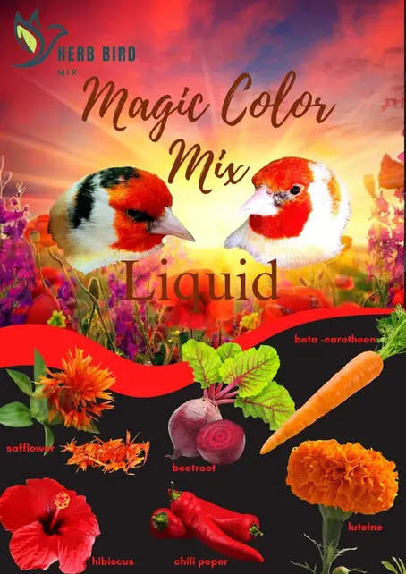 Magic color liquid (300ml)