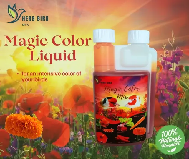 Magic color liquid (300ml)
