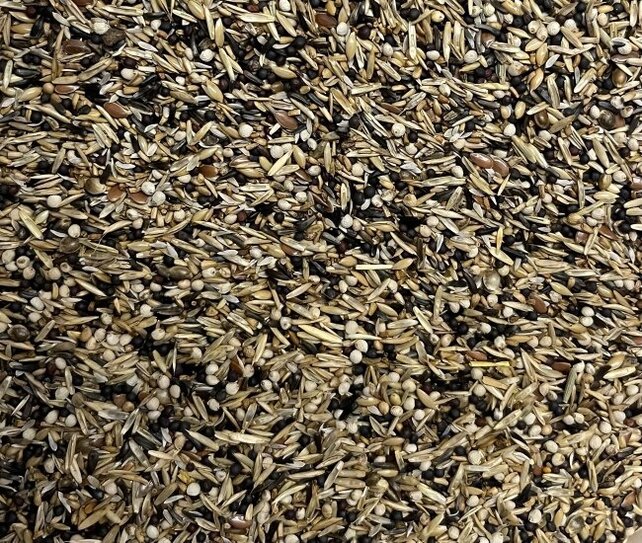 Jan Koenings Amerikaanse Sijzenvoer Jan Koenings Amerikaanse Sijzenvoer