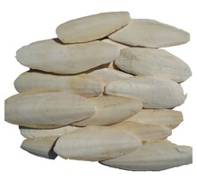 Sepia schalen 5 kilo