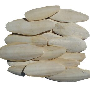 Sepia schalen 5 kilo