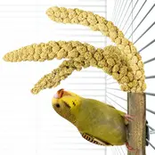 Bamboo Grass keeper Bamboo Grass keeper