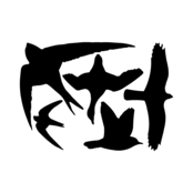 Raamstickers vogels Raamstickers vogels