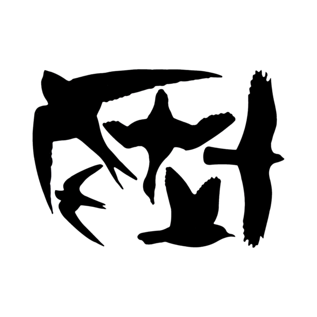 Raamstickers vogels Raamstickers vogels