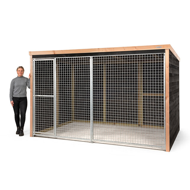 Kippenren Dirk Kippenren Dirk