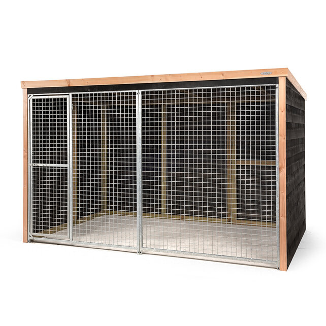 Kippenren Dirk Kippenren Dirk