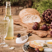 Flesopener kokmeeuw Flesopener kokmeeuw