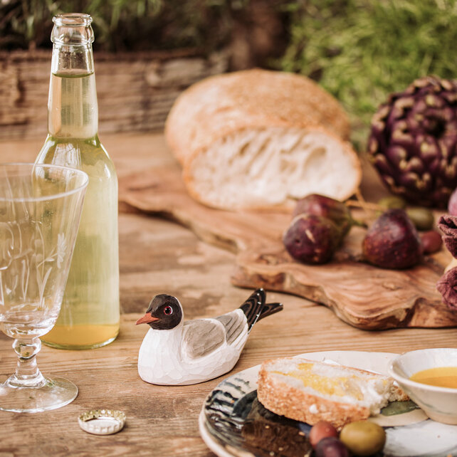 Flesopener kokmeeuw Flesopener kokmeeuw