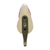 Ophanghaak rose kaketoe Ophanghaak rose kaketoe