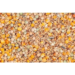 Tortelduif classic 5 kilo
