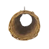 Nature Willow Tunnel