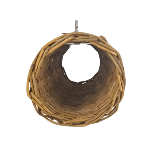 Nature Willow Tunnel