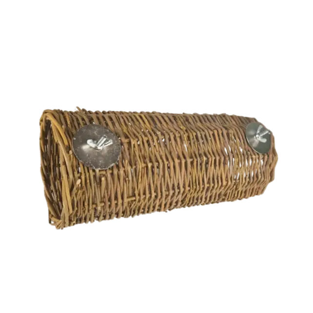 Nature Willow Tunnel