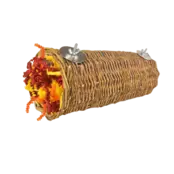 Nature Willow Tunnel