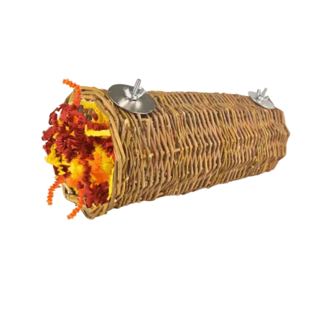 Nature Willow Tunnel