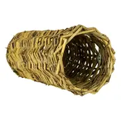 Nature Willow Tunnel