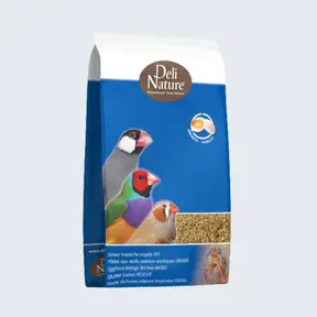 Eivoer tropische vogels vet