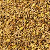 Eivoer tropische vogels vet Eivoer tropische vogels vet