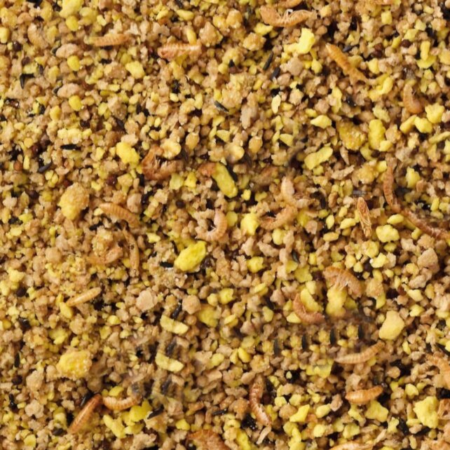 Eivoer tropische vogels vet Eivoer tropische vogels vet