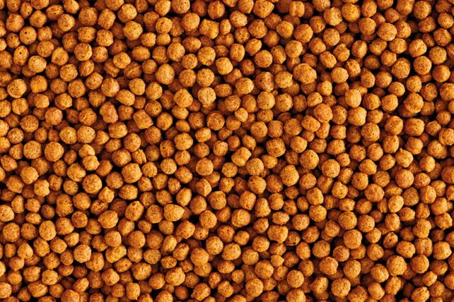 Nutribird F16 Lijsters Merels