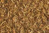 Insect patee premium Insect patee premium