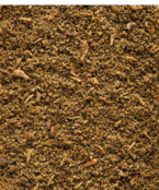 Insect patee  1 kilo Insect patee  1 kilo