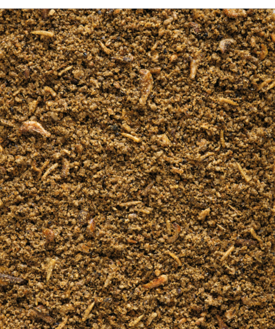 Insect patee  1 kilo Insect patee  1 kilo