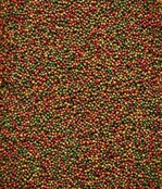 Nutribird C19 kanarie kweekvoer 3 kilo Nutribird C19 kanarie kweekvoer 3 kilo