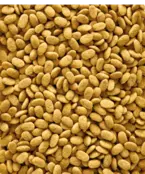 Nutribird P15 Original 1 kilo Nutribird P15 Original 1 kilo