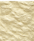 Handopfok A19 papegaai 800 gram