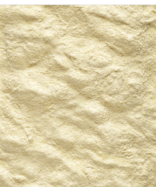 Handopfok A19 papegaai 800 gram