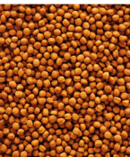 Nutribird T16 Toekan onderhoudsvoeder Nutribird T16 Toekan onderhoudsvoeder