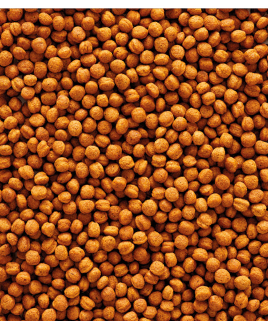 Nutribird T16 Toekan onderhoudsvoeder Nutribird T16 Toekan onderhoudsvoeder