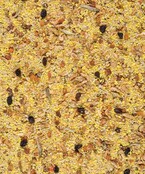 Gold Crumble Grote Parkieten En Papegaaien 800 g Gold Crumble Grote Parkieten En Papegaaien 800 g