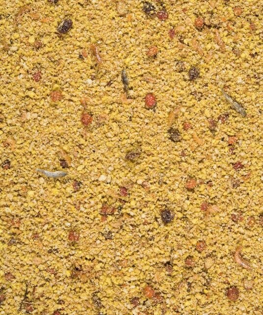 Orlux Gold patee papegaai 1 kilo Orlux Gold patee papegaai 1 kilo