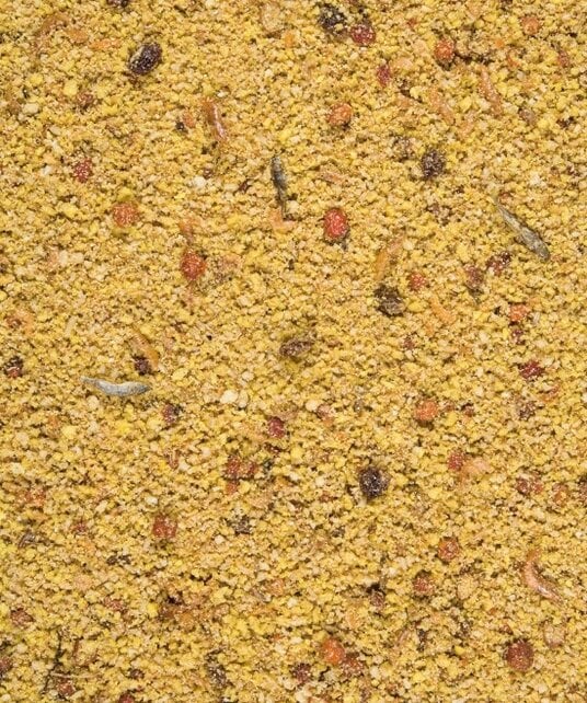 Gold Patee Grote Parkieten En Papegaaien 5 kg