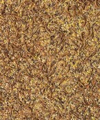 Orlux opfokvoer fazant en kwartel 1 kilo