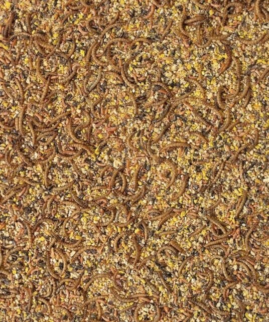 Orlux opfokvoer fazant en kwartel 1 kilo