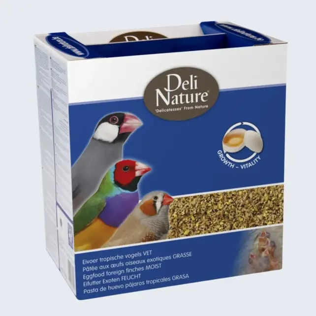 Eivoer tropische vogels vet Eivoer tropische vogels vet