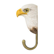 Ophanghaak zeearend Ophanghaak zeearend